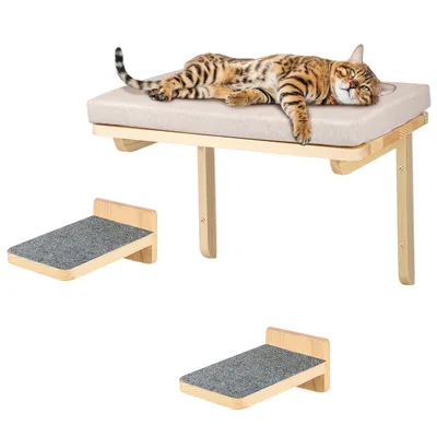 A cat is resting on a wall-mounted cat bed, with two cat stairs attached to the wall below it.