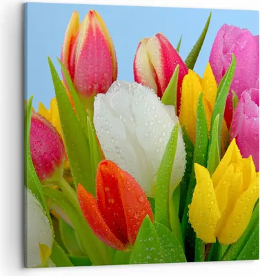 Produktbild von Bild auf Leinwand - Leinwandbild - Tulpen Blumenstrauß Blumen Tau - 50x50cm - Wand Bild - Wanddeko - Leinwanddruck - Bilder - Kunstdruck - Wanddekoration - Leinwand bilder - Wandkunst - AC50x50-2526