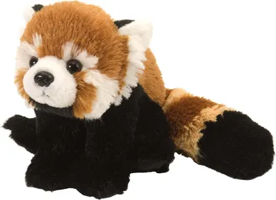 A plush toy red panda is shown from the front, sitting on a white background.