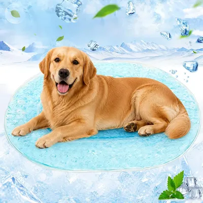 Produktbild von Kühlmatte 80 x 60 cm, für Hunde und Katzen, selbstkühlendes Gel, wasserdicht, kratzfest