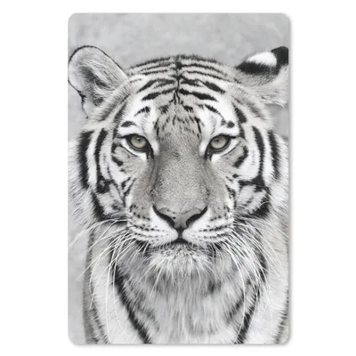 Produktbild von MuchoWow® Mauspad Mousepad Tiger - Natur - Schwarz - Weiß 18x27 cm - Mousepads - Maus Mat - Pad - Mausunterlage