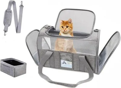 Image de Cage de transport pour chats et chiens, respirante, pliable, adaptée aux voyages