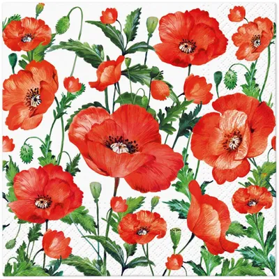 Immagine prodotto di Tovaglioli 33x33 cm - Flanders Poppy