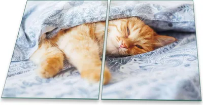 Produktbild von Herdabdeckplatte Glaskeramik 2-Teilig 2x40x52 Katze Braun Abdeckung Spritzschutz Glas