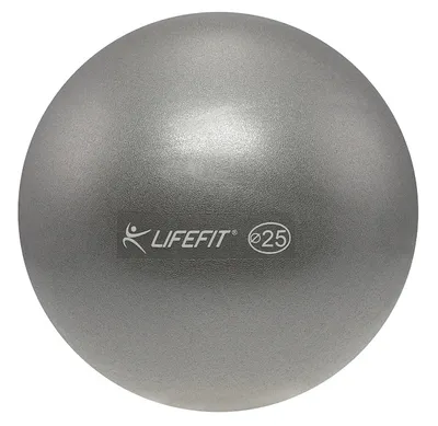 Obrázek produktu pro Míč OVERBALL LIFEFIT® 25cm, stříbrný