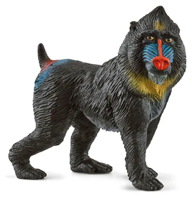Immagine prodotto di Schleich 14856 - Wild Life, Mandrillo, figura di animale