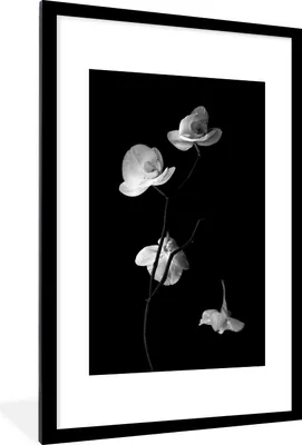 Produktbild von MuchoWow® MuchoWow® Gerahmtes Poster Orchidee - Blumen - Schwarz - Weiß - Stilleben 60x90 cm - Poster mit zchwarzem Bilderrahmen - Dekoration - Wandposter Wohnzimmer - Hochwertig