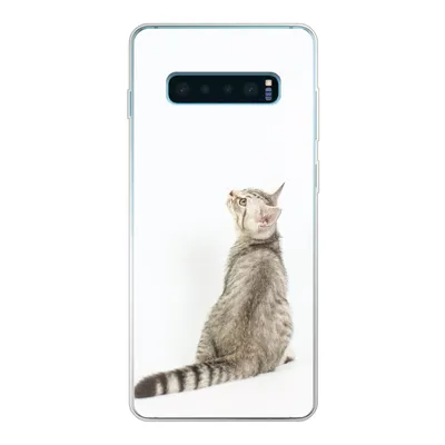 Produktbild von MuchoWow® Handyhülle Schutzhülle Hülle für Samsung Galaxy S10 Plus Katze - Haustiere - Fell Silikon Softcase Handy Hülle - Schutzhülle