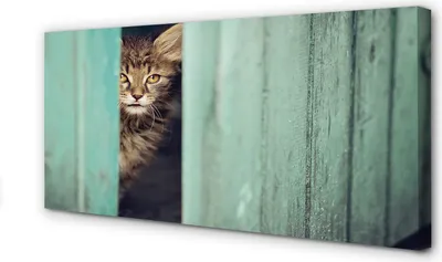 Produktbild von Leinwandbild 100x50 Wandkunst Zaglądający Katze