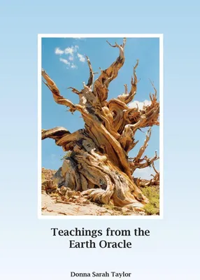 Produktbild von Teachings from the Earth Oracle