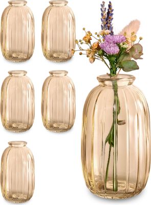 Kleine Glasvasen - 6er Set - Vintage Stil - Runde & Stabile Blumenvasen - Spülmaschinenfest - Perfekt für Hochzeit Tischdeko - Gold