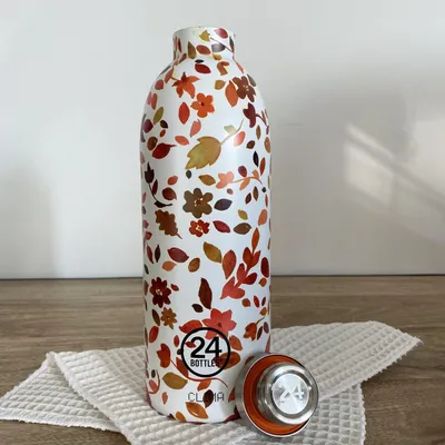 Image de Gourde CLIMA isotherme 850ml - Windy Day | 24 Bottles