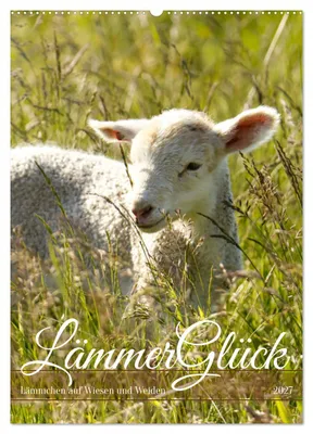 Produktbild von Lämmerglück (Wandkalender 2027 DIN A2 hoch), CALVENDO Monatskalender