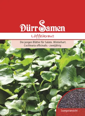 Produktbild von Dürr-Samen - Löffelkraut - Saatgut - 0197