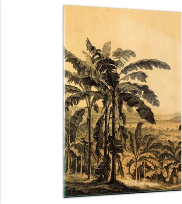 Produktbild von Bilder auf glas - Einteilig - Palmen Wald Regnerisch - 80x120cm - Glasbilder - Wandbilder - Bilder - zum Aufhängen bereit - Wanddekoration aus Glas - Glas Bilder - Wandbild auf Glas - GPA80x120-4983