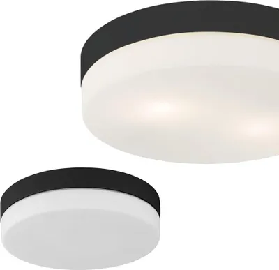 Productafbeelding van Badkamerplafondlamp IP44, model PORI 862, van TK Lighting