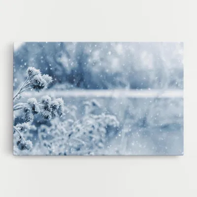 Produktbild von ARTHUB® Leinwandbild 80x120 cm, Pretty Winter Plants | Wohnzimmerdekoration, Hängende Bilder, Wanddekoration, Heimdekoration, Landschaften, Winter