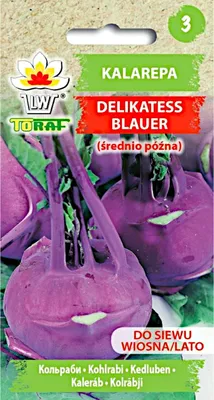 Image de Graines de légumes Toraf Chou-rave Délicat bleu, paquet de 2g
