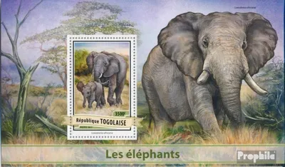 Produktbild von Briefmarken Togo 2017 Mi Block 1402 (kompl. Ausgabe) postfrisch Elefanten
