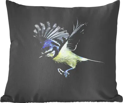 Produktbild von MuchoWow® Zierkissen Sofakissen Wohnzimmer Dekokissen 50x50 cm Blaumeise - Vogel - Schwarz - Komfort - Sofakissen