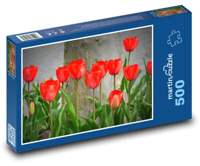 Zdjęcie produktu dla Puzzle 500 Tulipany w naturze - martinpuzzle