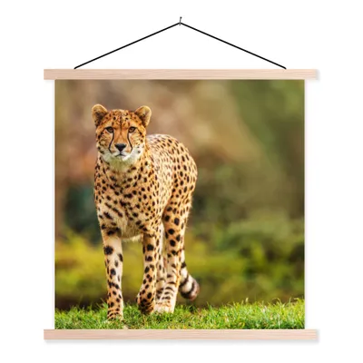 Produktbild von MuchoWow® Textilposter Wildtiere - Gras - Leopard - Natur 120x120 cm mit holzfarbenen Rahmen - Textil-Poster