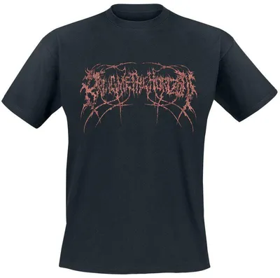 Produktbild von Bring Me The Horizon T-Shirt Herren Thorn Logo schwarz XXL