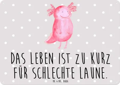 Produktbild von Mr. & Mrs. Panda tafel Axolotl Glücklich DIN A6 - Grau Pastell - Geschenk, Schwanzlurch, Lebensfroh, gut Gelaunt, Motivationsspruch, Wandbild, Schild, Retro Blechschild