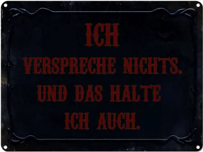 Produktbild von vianmo Blechschild 30x40 cm verspreche nichts das halte auch Spruch Zitat