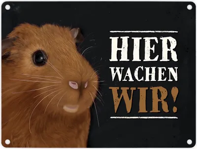 Produktbild von Metallschild mit Meerschweinchen Motiv und Spruch: Hier wachen wir! Türschild