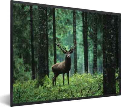 Produktbild von MuchoWow® Gerahmtes Poster Hirsche - Wald - Bäume - Tiere - Natur 80x60 cm - Poster mit Schwarzem Bilderrahmen Wandposter Rahmen Foto Bilder - Schwarzem - Mit Gestell