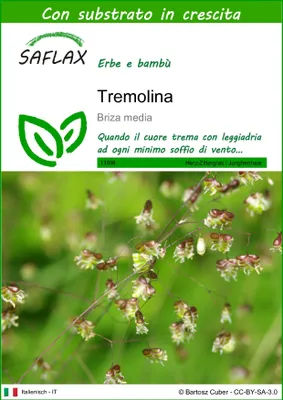 Immagine prodotto di SAFLAX  - Tremolina - 75 semi - Con substrato - Briza
