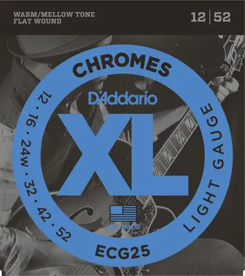 Obrázok produktu pre D'Addario ECG25