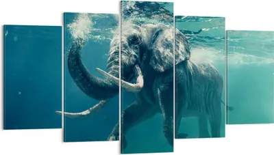 Produktbild von Bild auf Leinwand - Leinwandbild - Elefant Tier Wasser - 160x85cm - Wand Bild - Wanddeko - Leinwanddruck - Bilder - Kunstdruck - Wanddekoration - Leinwand bilder - Wandkunst - EA160x85-3944