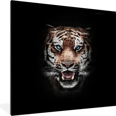 Produktbild von MuchoWow® MuchoWow® Gerahmtes Poster Tiger - Stein - Wand 40x40 cm - Poster mit zchwarzem Bilderrahmen - Mit Rahmen - Wanddekoration Schlafzimmer