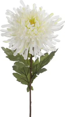 Produktbild von Gilde Chrysantheme  aus Kunststoff · weiß  Höhe 81 cm   53691