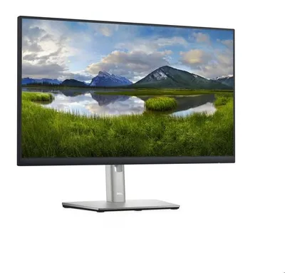 Image de DELL P Series P2422H LED display 60,5 cm (23.8") 1920 x 1080 pixels Full HD LCD Noir