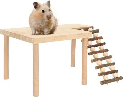 Image de Structure d'escalade pour petits animaux à deux niveaux avec aire d'activités