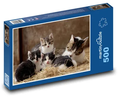 Obrázok produktu pre Puzzle 500 Mačiatka na sene - martinpuzzle