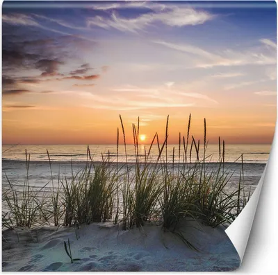 Produktbild von Vlies fototapete Strand Meer Sonnenuntergang 250x250 cm Feeby Orange inkl. Kleber einfache Montage