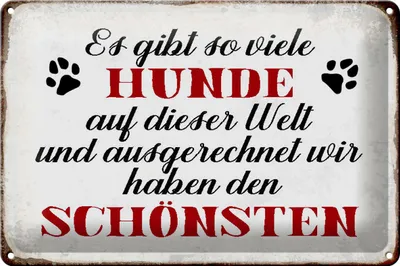 Produktbild von Blechschild Spruch 30x20cm es gibt so viele Hunde Schild