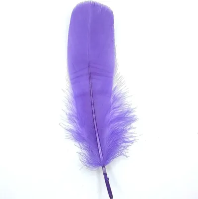 Obrázok produktu pre Perie Husie perie, cca 15-20 cm, 10 kusov, fialové