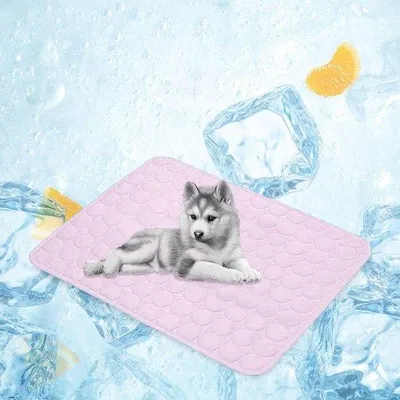 Produktbild von Famanu Kühlmatte für Haustiere - Selbstkühlende Matte für Hunde und Katzen