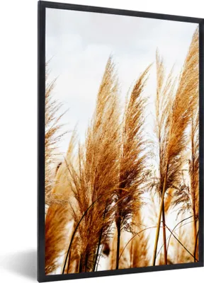 Produktbild von MuchoWow® Gerahmtes Poster Pampasgras - Sonne - Gras 60x90 cm - Poster mit Schwarzem Bilderrahmen Wandposter Rahmen Foto Bilder - Kunst