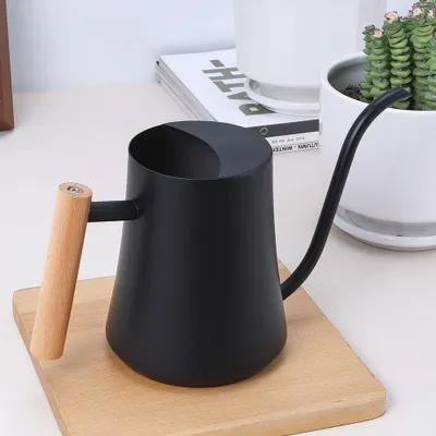 Immagine prodotto di 1000 ml di annaffiatoio nero per piccole piante d'appartamento - Mini annaffiatoio in acciaio inox con beccuccio lungo per piante grasse