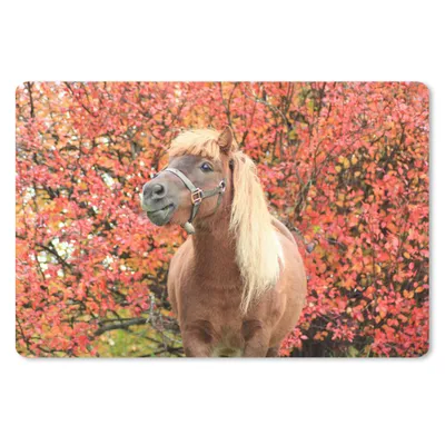 Produktbild von MuchoWow® Schreibtischunterlage Pferd - Pony - Herbstblätter 60x40 cm - XXL Mauspad - Großes Mauspad