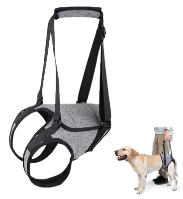 Image de Harnais de soutien réglable pour chiens, idéal pour les chiens âgés ou handicapés