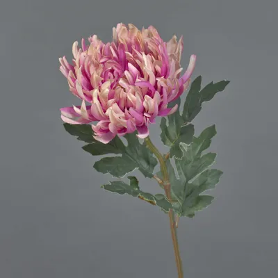 Produktbild von artplants.de Kunstblume Chrysantheme LINGYUN, rosa, 65 cm - Künstlicher Blumenzweig