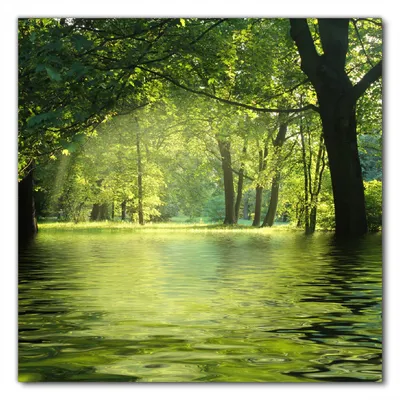 Produktbild von Wallario selbstklebende Möbelfolie/ Tischdecke für Innen und Außen, Größe: 100 x 100 cm - Idyllischer See im Wald bei Sonnenschein