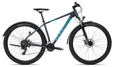 Produktbild von Axess SANDEE ATB alltagstaugliches Hardtail Mountainbike 29 Zoll Dunkelgrau 21 Zoll